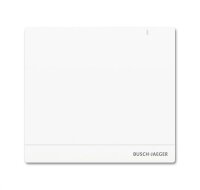 Busch-Jaeger System Access Point 6200 AP-102 2.0